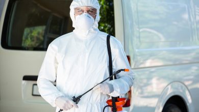 Photo of Valuable Benefits: Hiring A Pest Control Services
