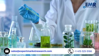 Photo of Global Perfume Ingredient Chemicals Market Size to Grow at a CAGR of 5.1% in the Forecast Period of 2022-2027
