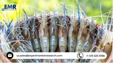 Photo of Global Shrimp Market Size to Grow at a CAGR of 4.5% between 2022 and 2027