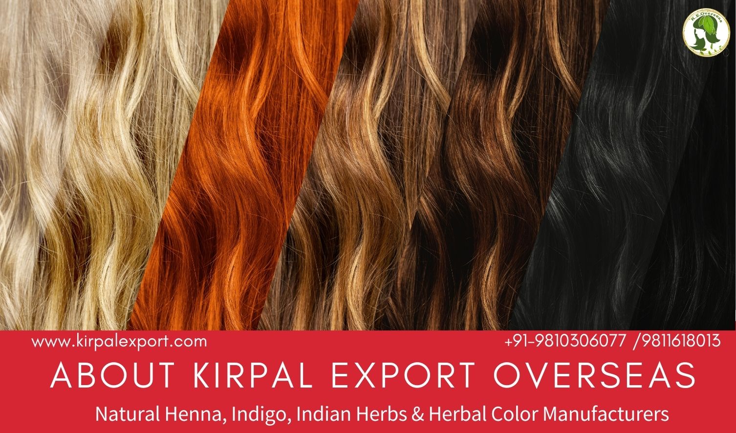 About Kirpal Export Overseas-Company Brief