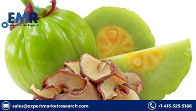 Photo of Garcinia Cambogia Market to be Driven by Increasing Demand in Pharmaceuticals