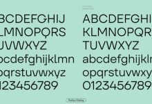 Photo of The Artistry of Fonts: Unraveling the Language of Typography